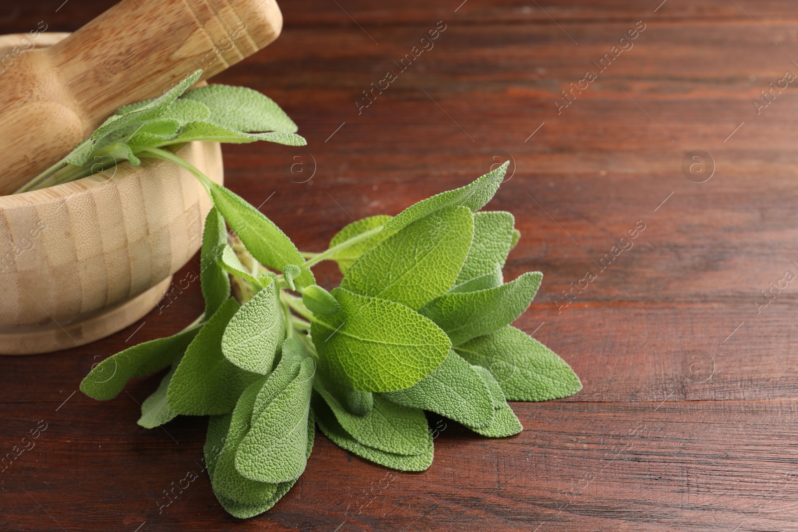 Photo of Green sage leaves on wooden table, closeup