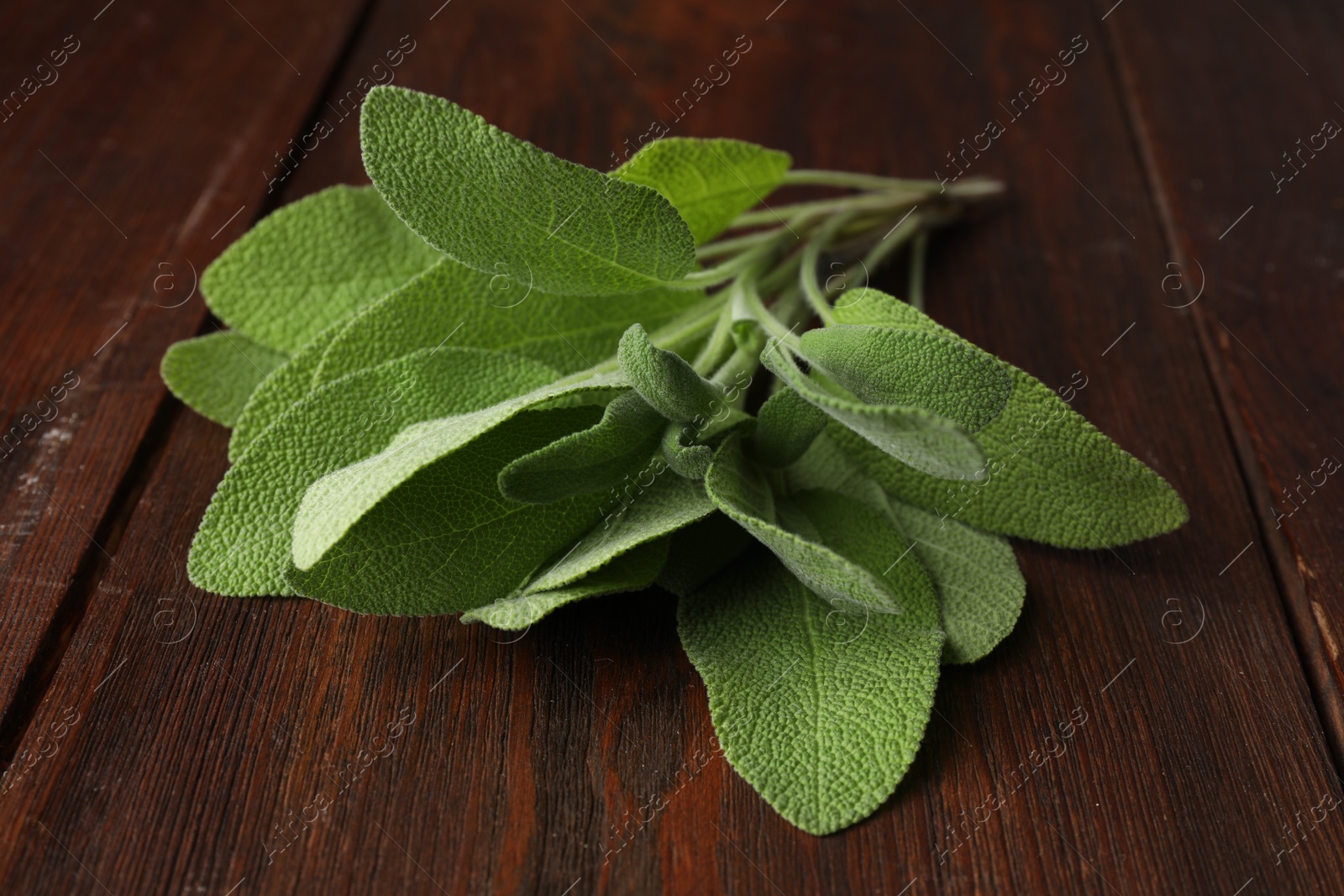 Photo of Green sage leaves on wooden table, closeup