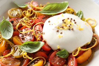 Delicious fresh burrata salad in bowl, closeup