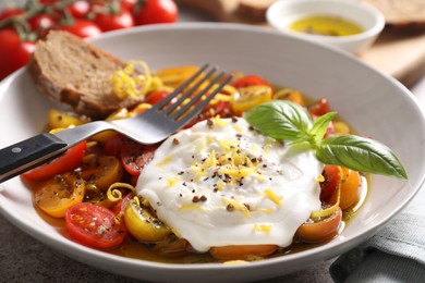 Delicious fresh burrata salad in bowl served on table, closeup