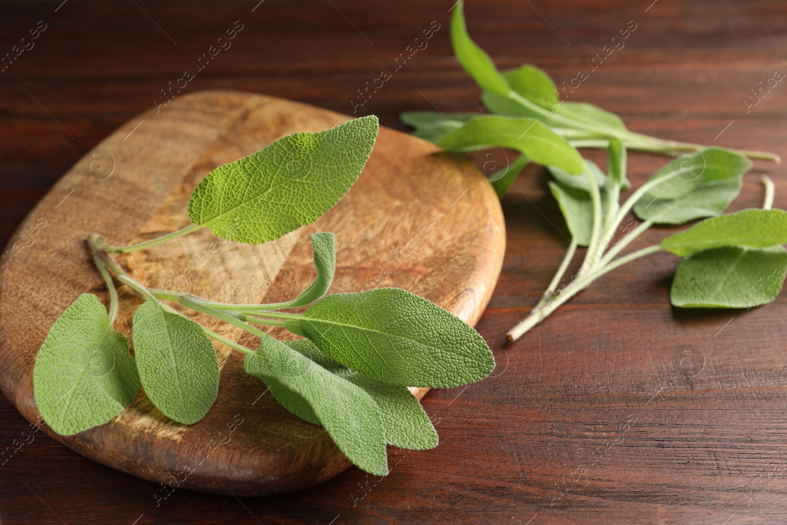 Photo of Green sage leaves on wooden table, closeup