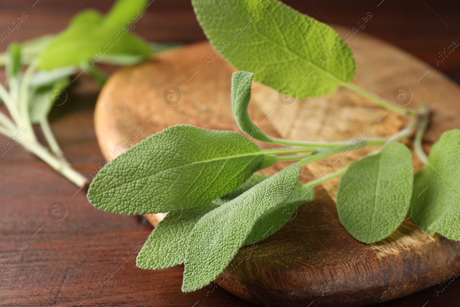 Photo of Green sage leaves on wooden table, closeup