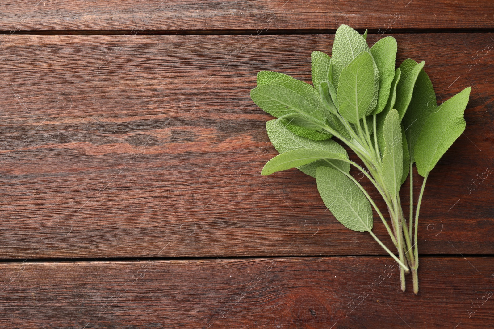 Photo of Green sage leaves on wooden table, top view. Space for text