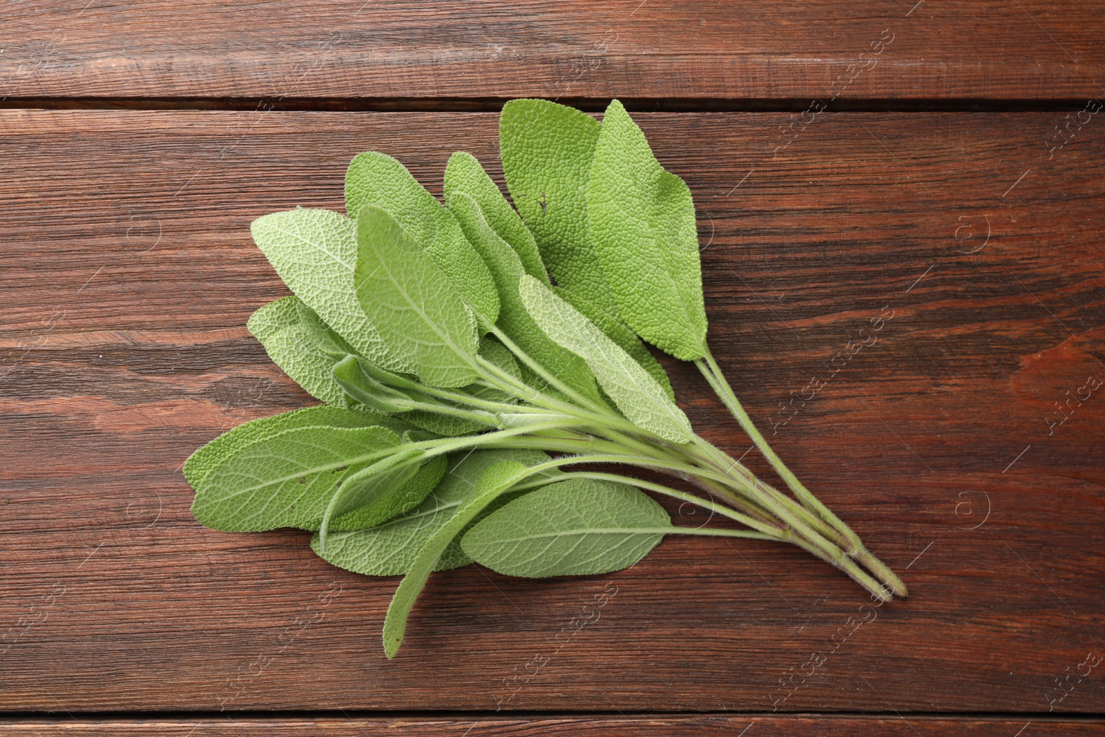 Photo of Green sage leaves on wooden table, top view