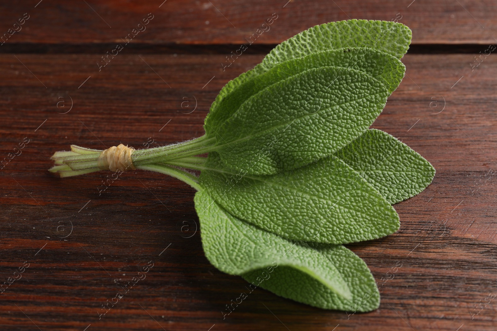 Photo of Bunch of green sage leaves on wooden table, closeup