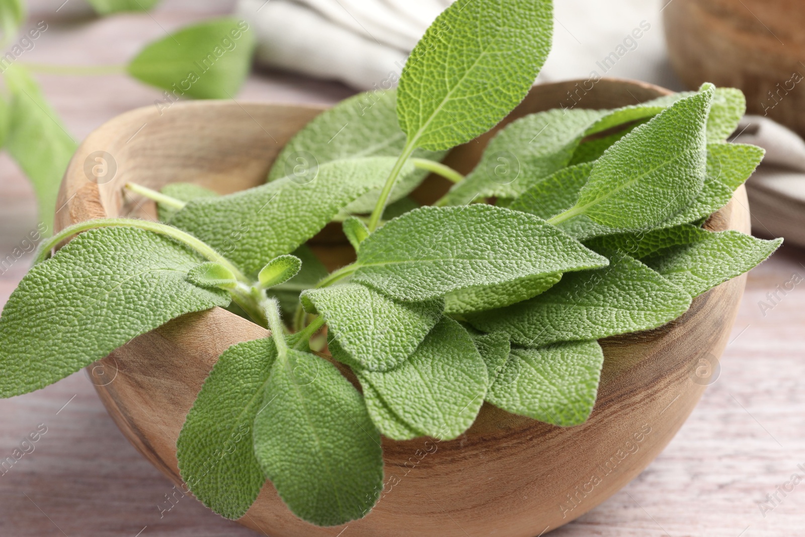 Photo of Green sage leaves in bowl on color table, closeup