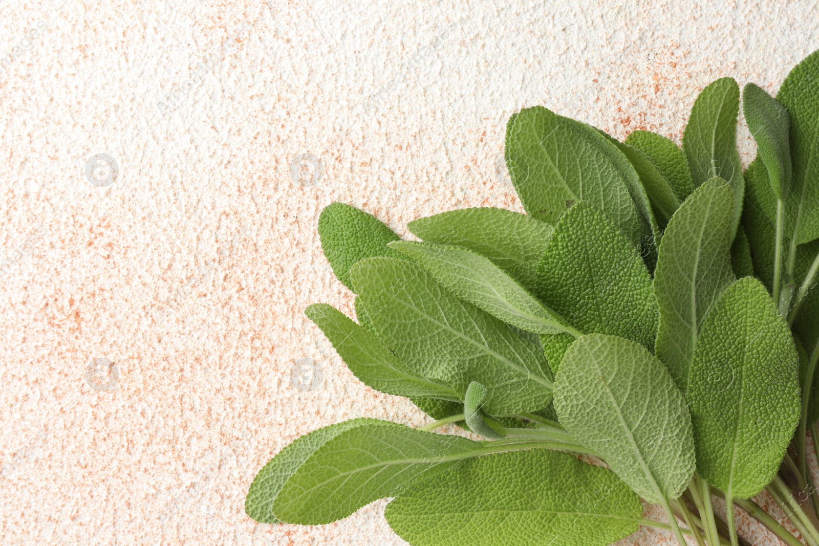 Photo of Green sage leaves on color textured table, top view. Space for text