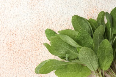 Photo of Green sage leaves on color textured table, top view. Space for text