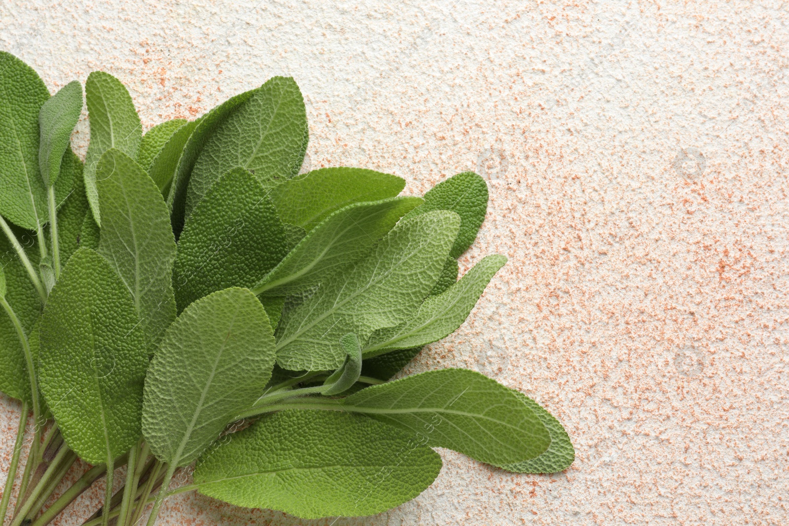 Photo of Green sage leaves on color textured table, top view. Space for text