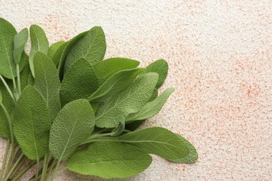 Photo of Green sage leaves on color textured table, top view. Space for text