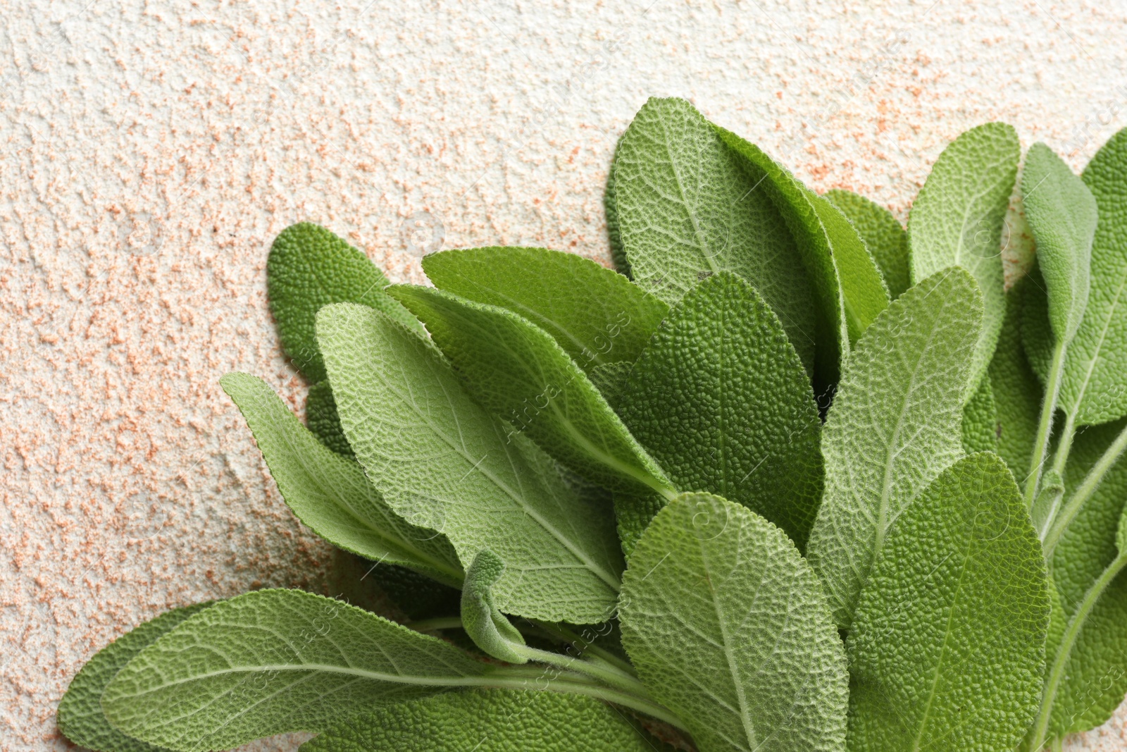 Photo of Green sage leaves on color textured table, top view