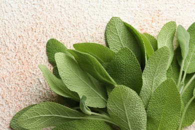 Photo of Green sage leaves on color textured table, top view