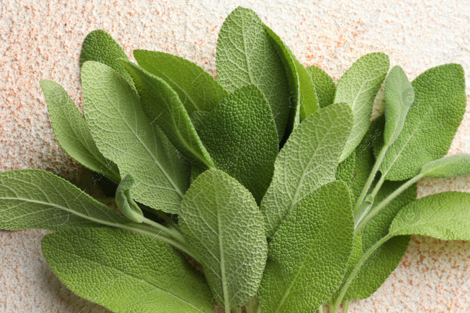 Photo of Green sage leaves on color textured table, top view