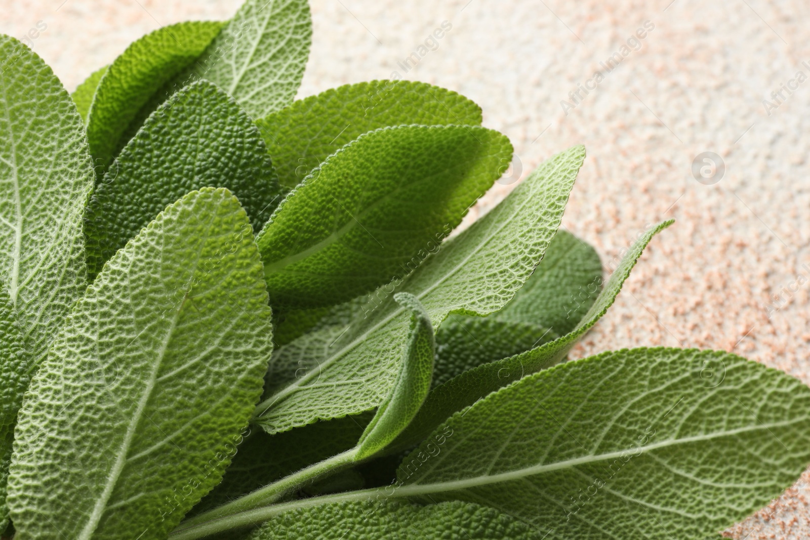 Photo of Green sage leaves in bowl on color textured table, closeup