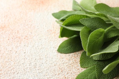 Photo of Green sage leaves in bowl on color textured table, closeup. Space for text