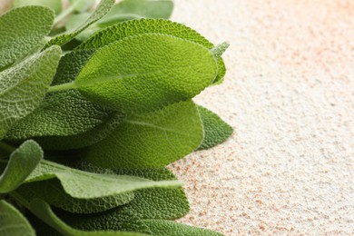 Photo of Green sage leaves in bowl on color textured table, closeup. Space for text