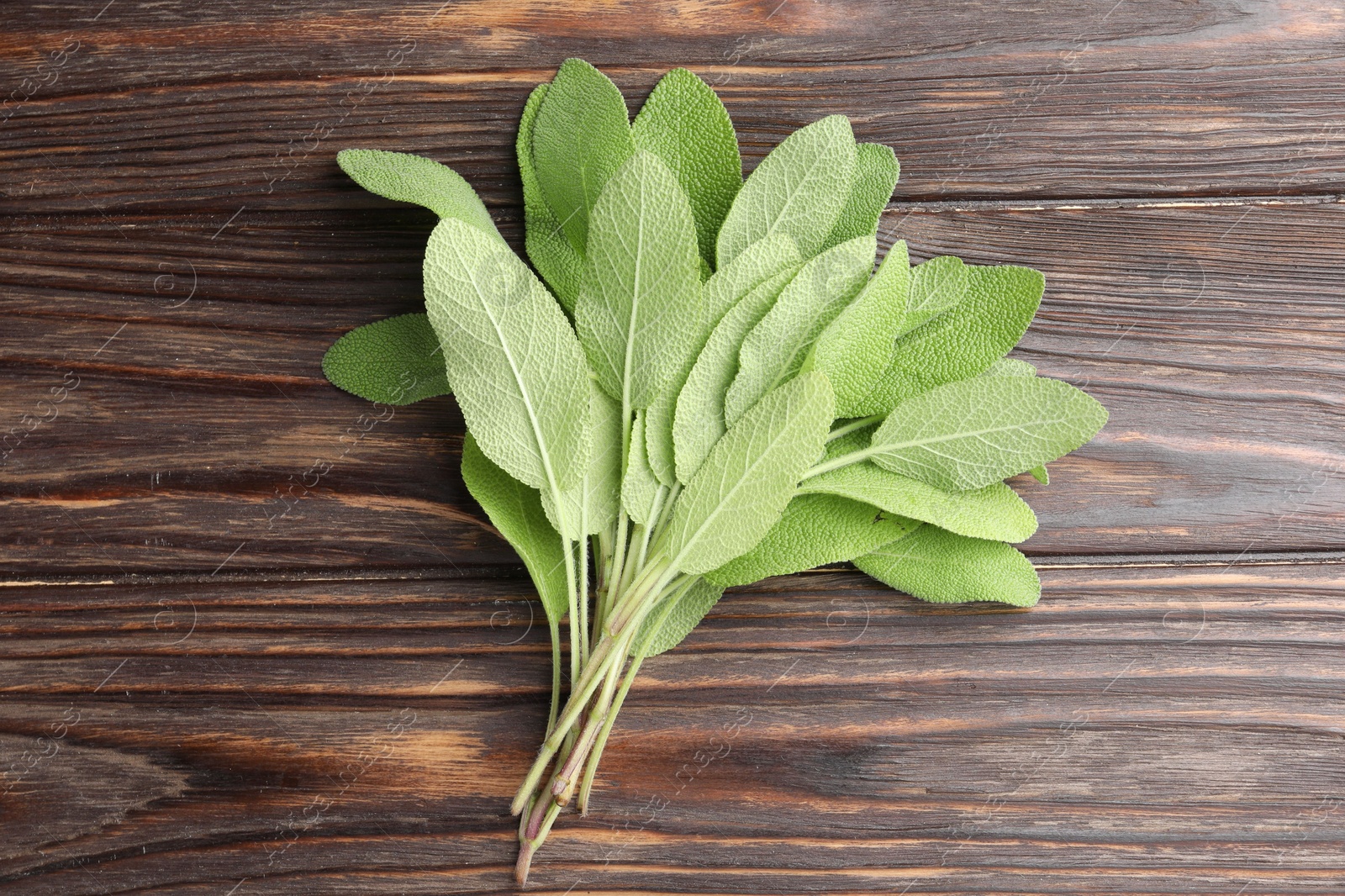 Photo of Green sage leaves on wooden table, top view