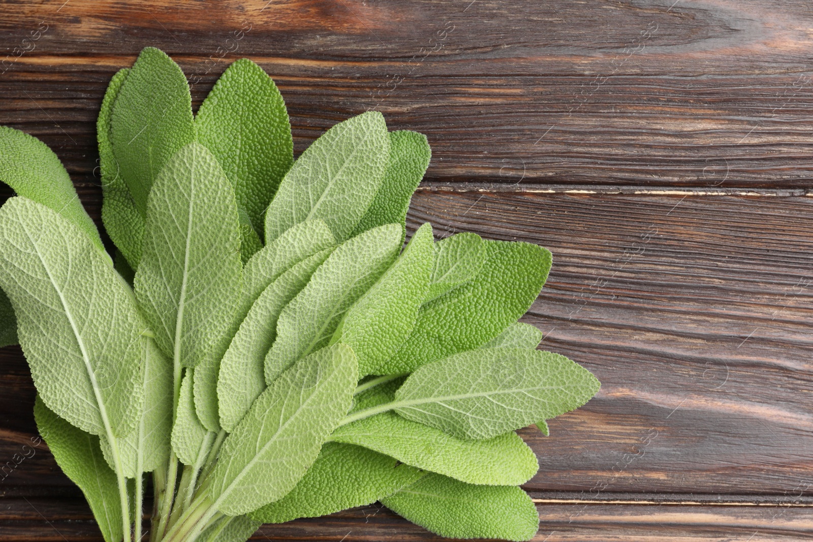 Photo of Green sage leaves on wooden table, top view. Space for text