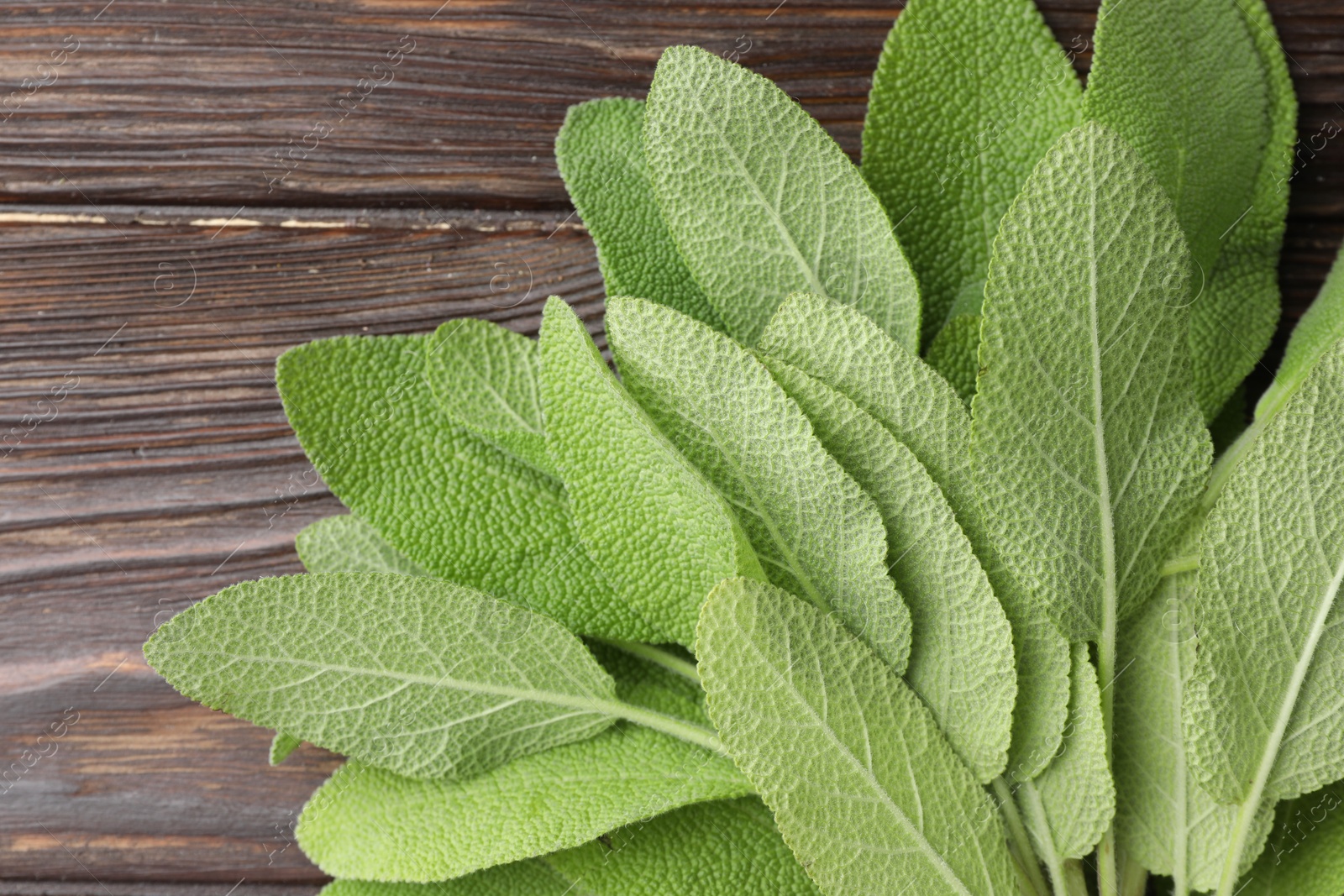 Photo of Green sage leaves on wooden table, top view