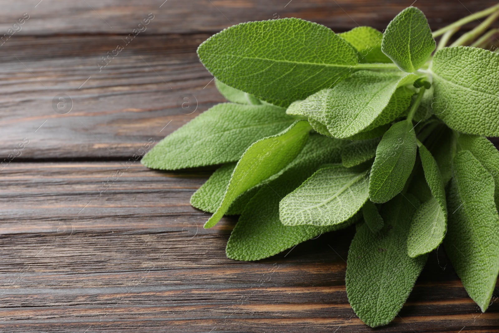 Photo of Green sage leaves on wooden table, closeup. Space for text