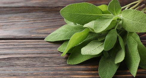 Photo of Green sage leaves on wooden table, closeup. Space for text