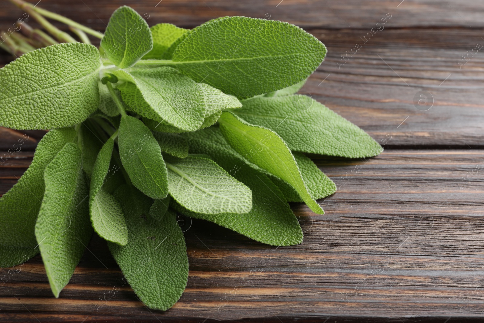 Photo of Green sage leaves on wooden table, closeup. Space for text