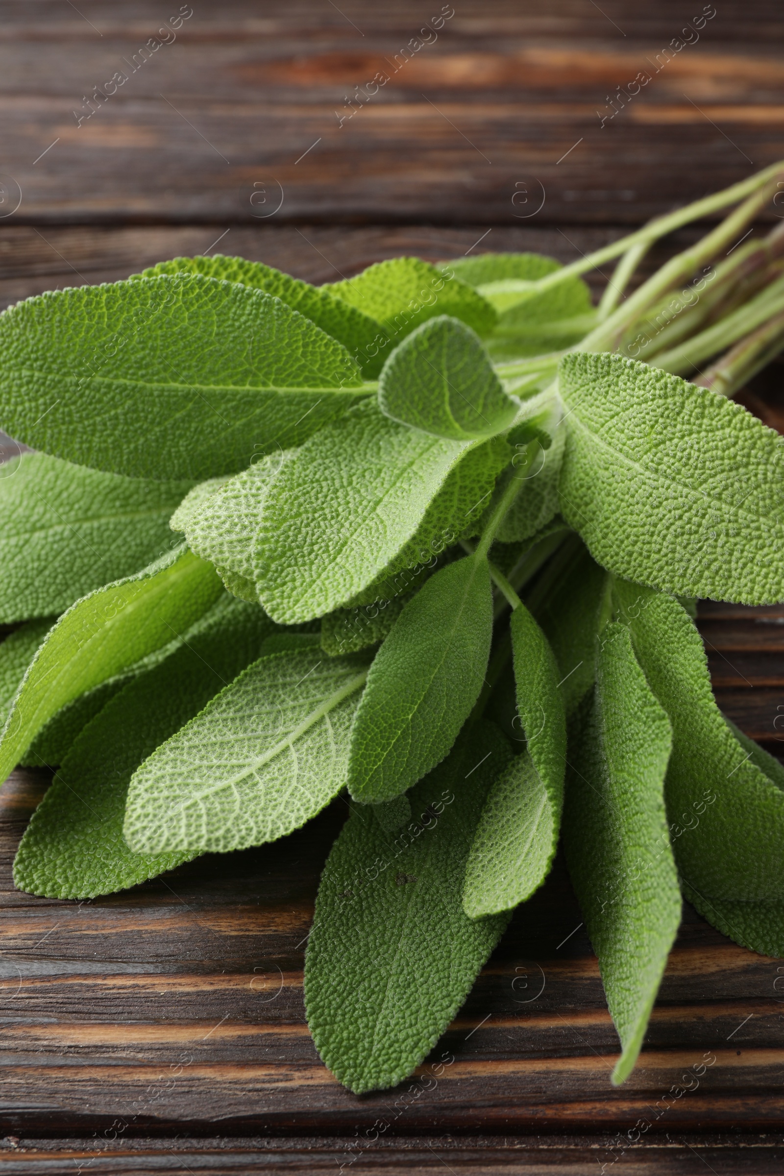 Photo of Green sage leaves on wooden table, closeup