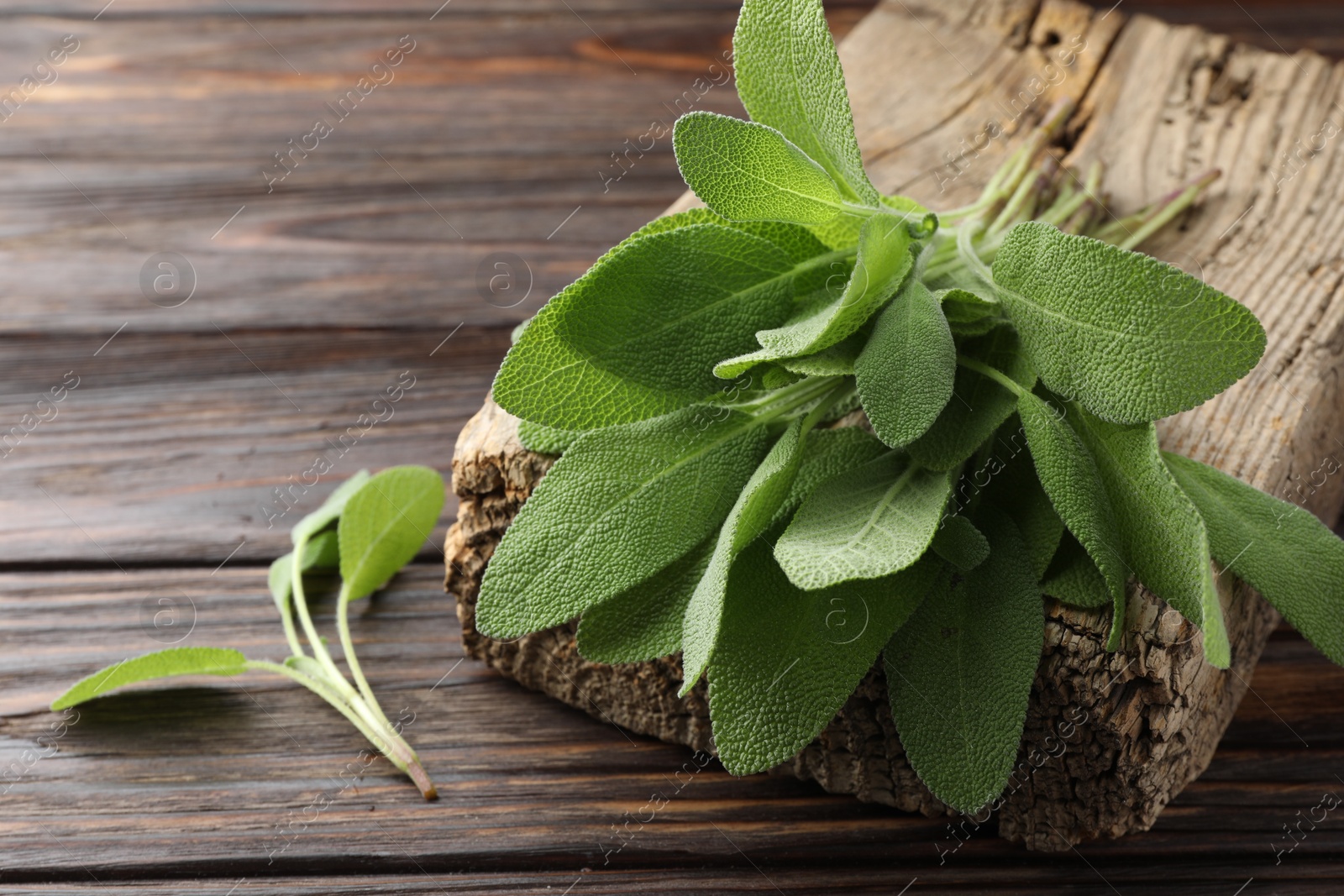 Photo of Green sage leaves on wooden table, closeup