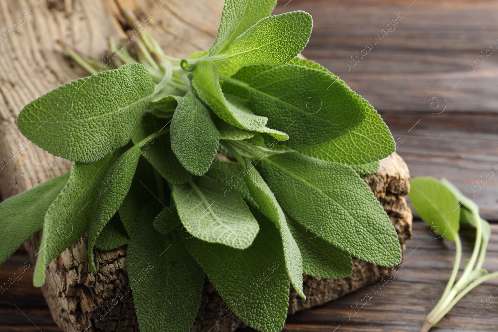 Photo of Green sage leaves on wooden table, closeup