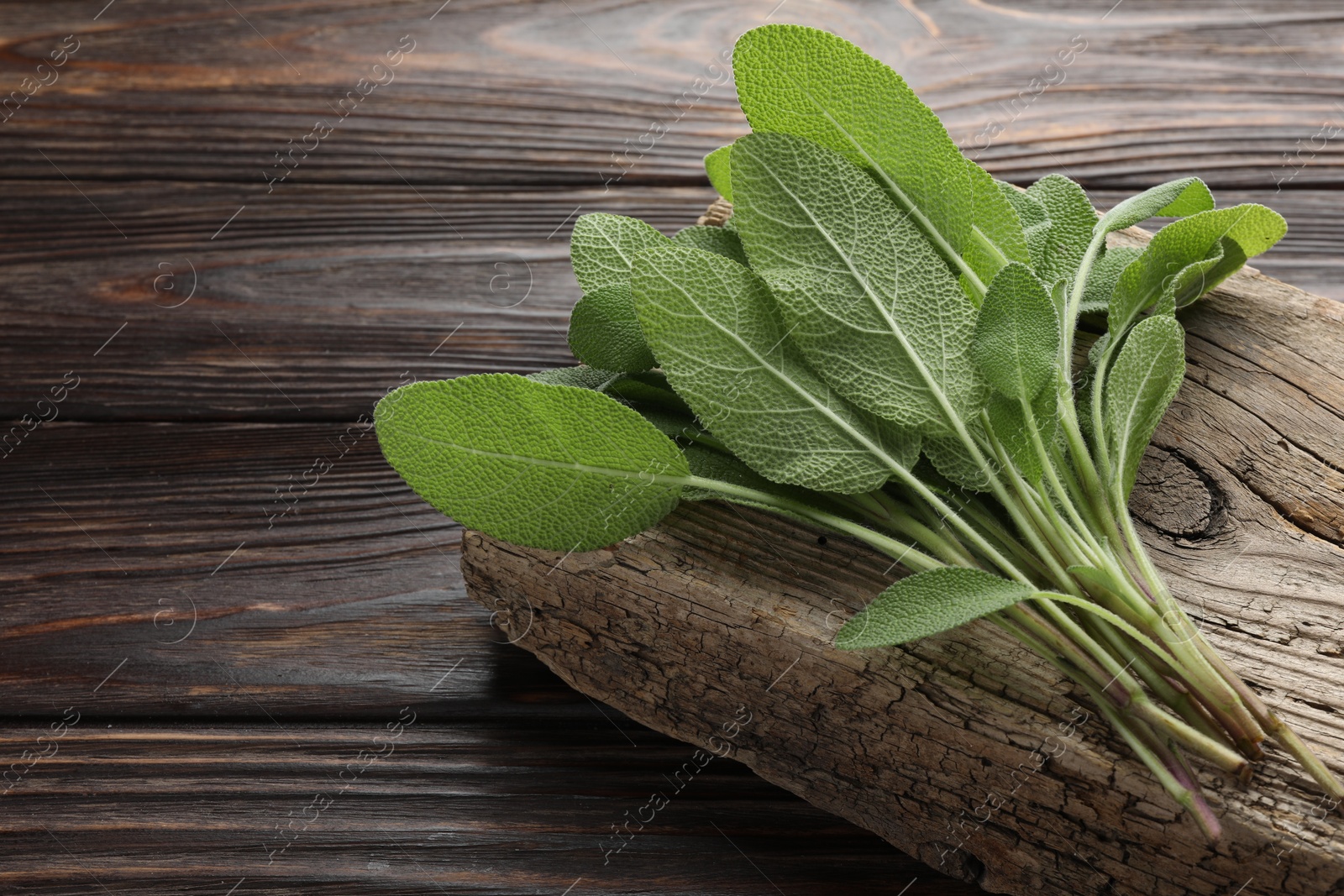 Photo of Green sage leaves on wooden table, closeup. Space for text