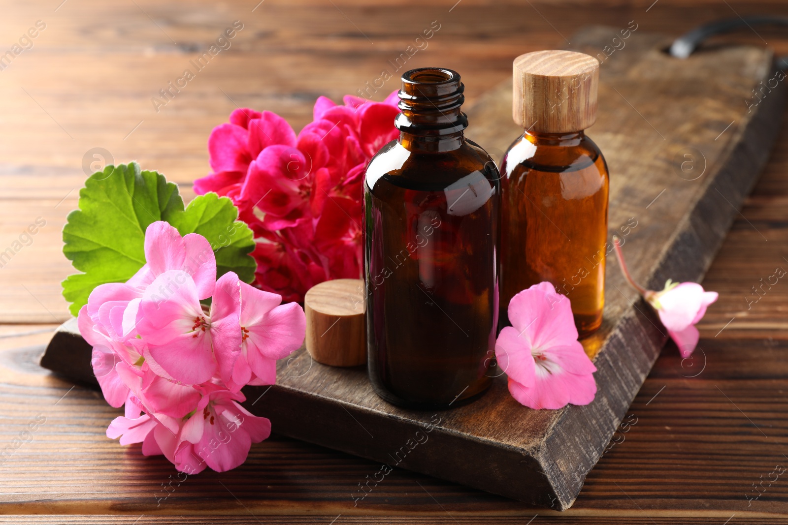 Photo of Geranium essential oil in bottles and beautiful flowers on wooden table