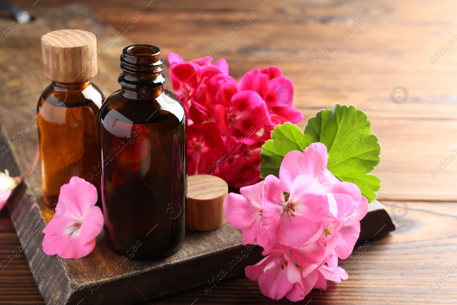 Photo of Geranium essential oil in bottles and beautiful flowers on wooden table