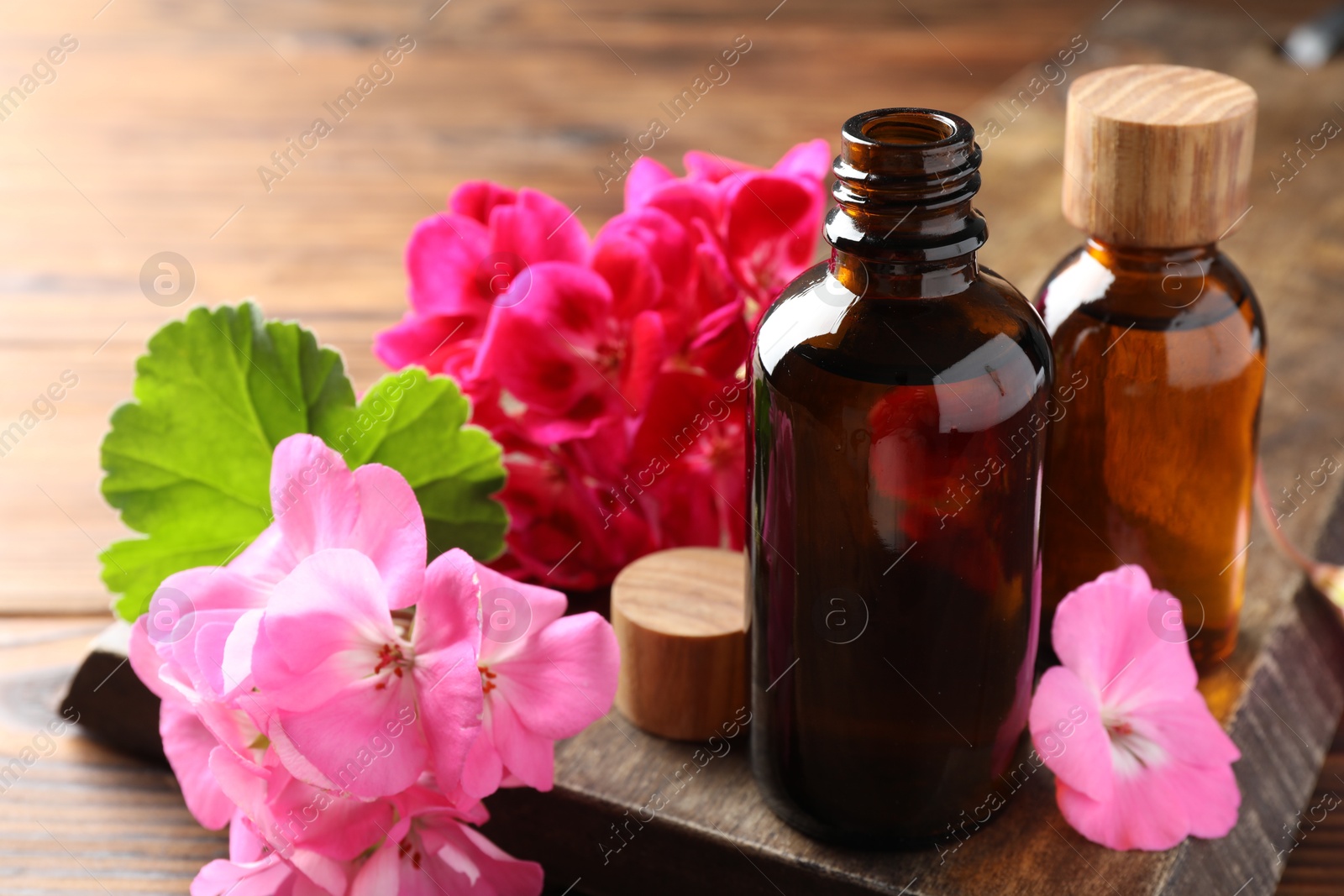 Photo of Geranium essential oil in bottles and beautiful flowers on wooden table