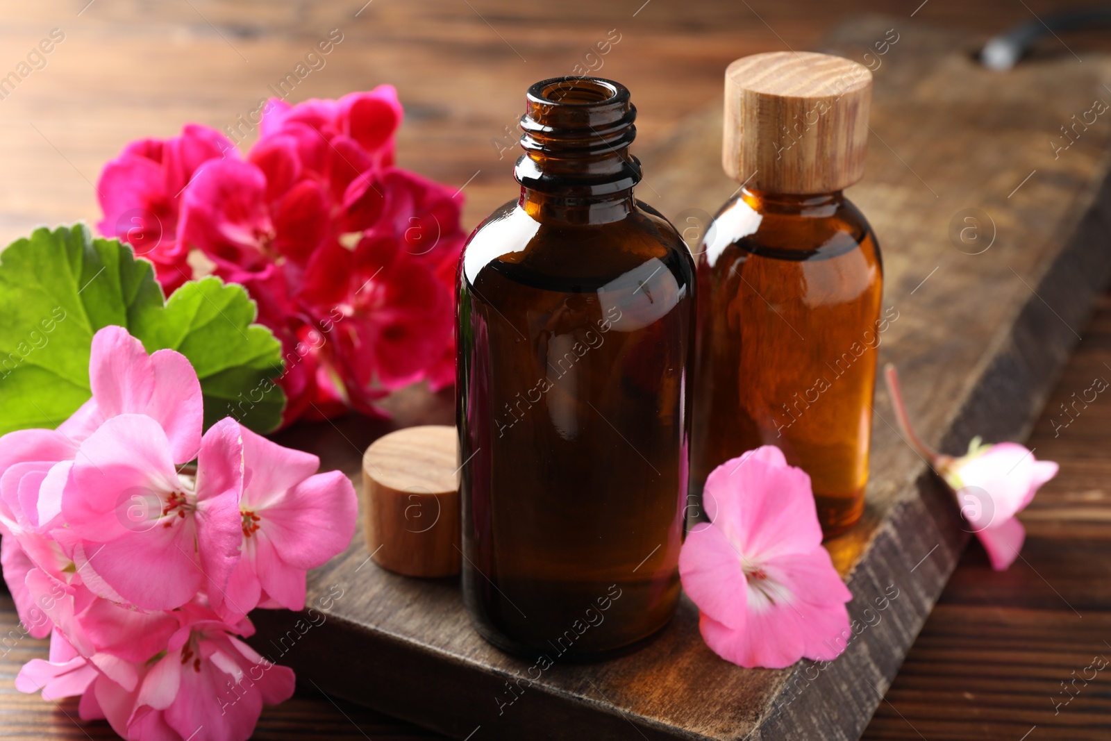 Photo of Geranium essential oil in bottles and beautiful flowers on wooden table