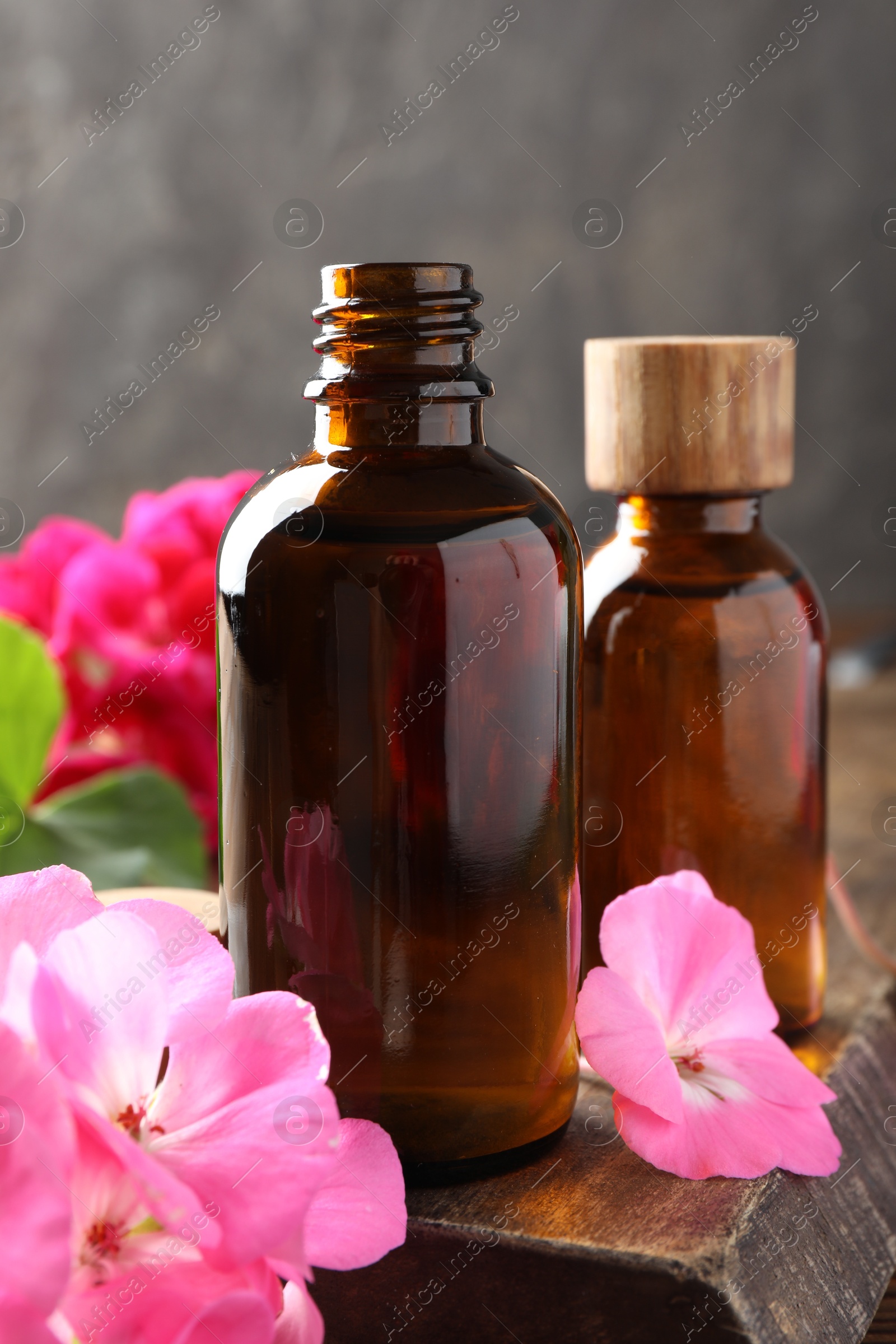 Photo of Geranium essential oil in bottles and beautiful flowers on table