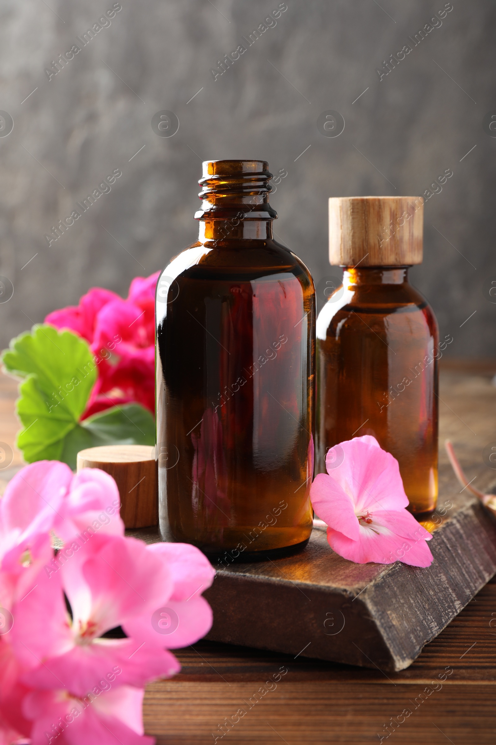 Photo of Geranium essential oil in bottles and beautiful flowers on wooden table