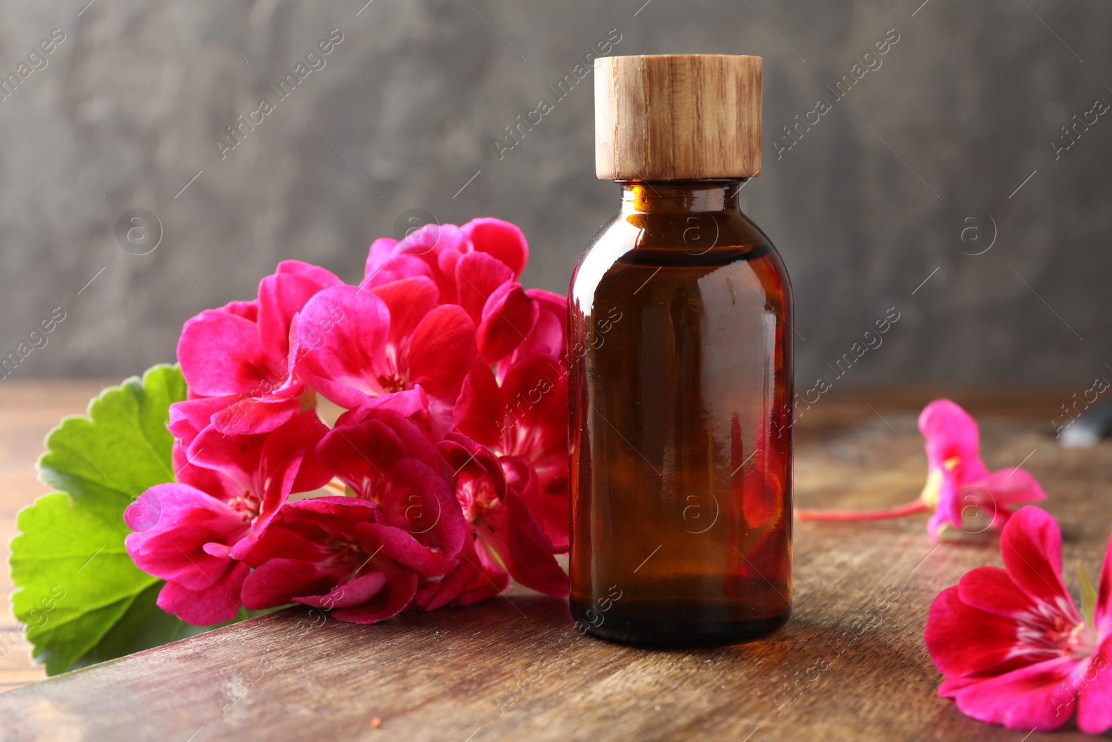 Photo of Geranium essential oil in bottle and beautiful flowers on wooden table