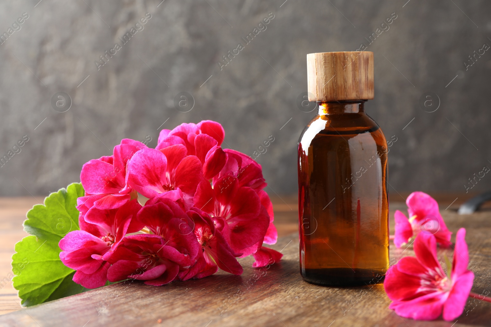 Photo of Geranium essential oil in bottle and beautiful flowers on wooden table