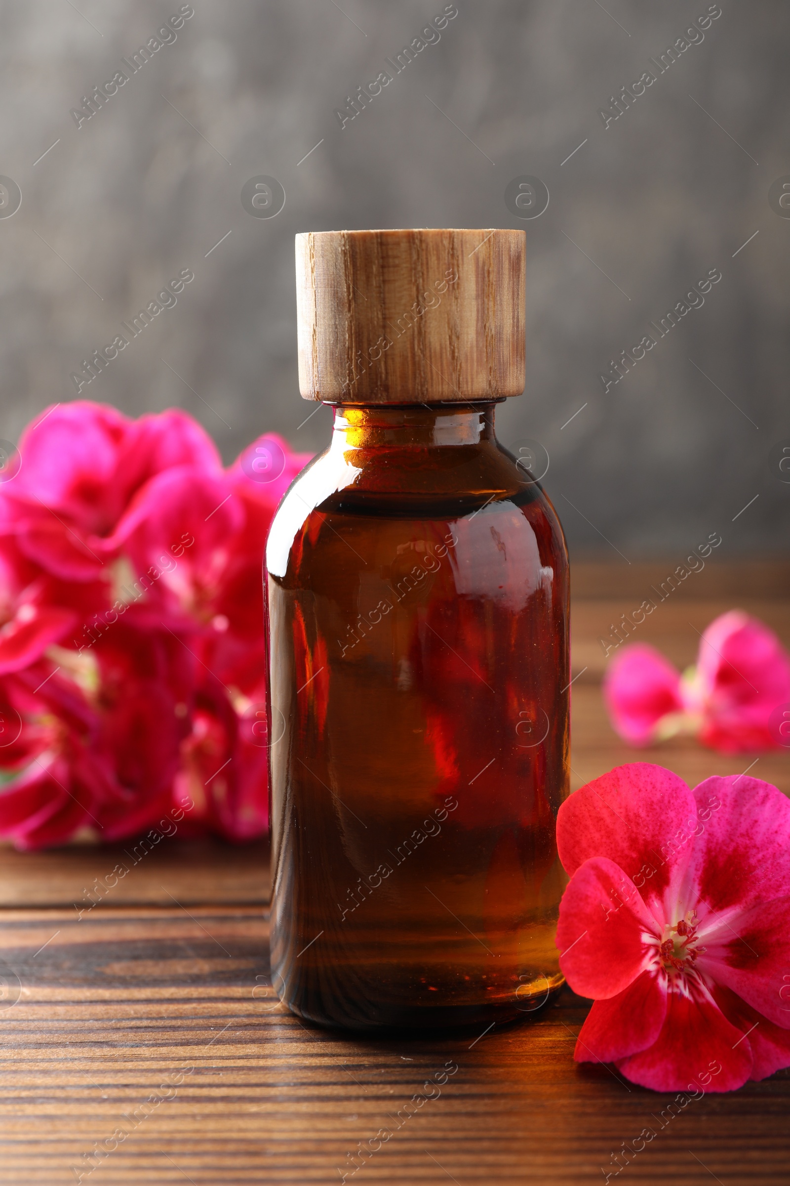 Photo of Geranium essential oil in bottle and beautiful flowers on wooden table