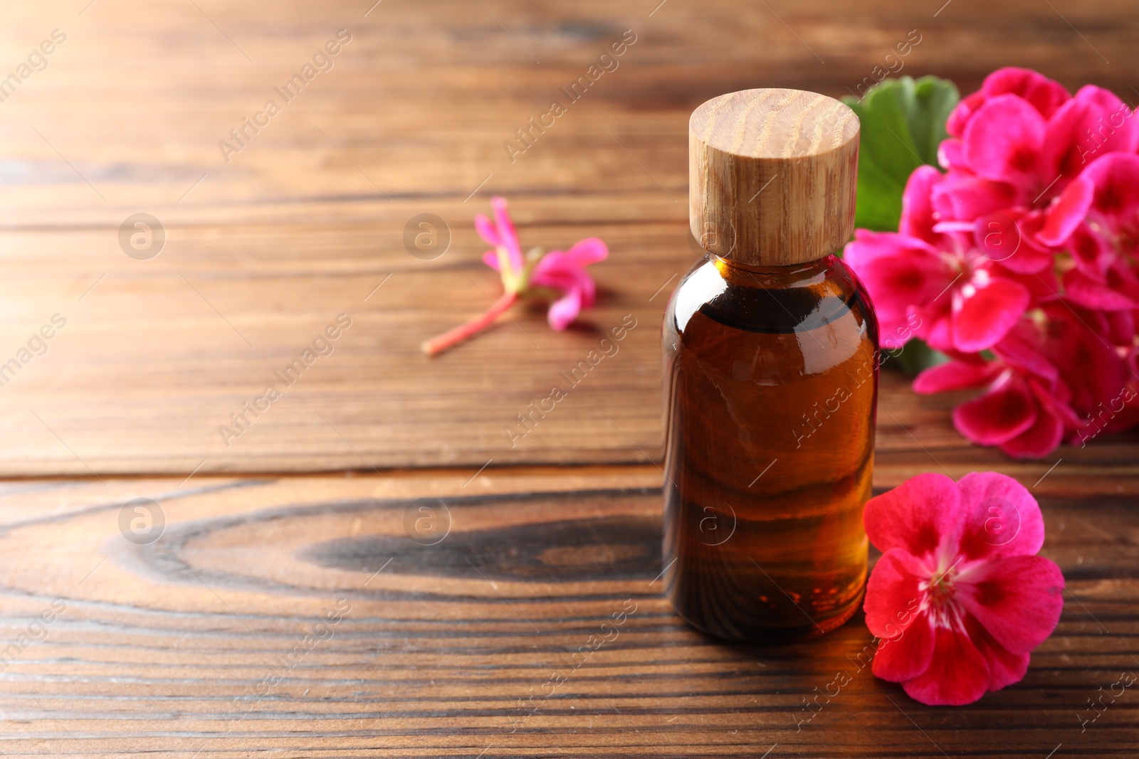 Photo of Geranium essential oil in bottle and beautiful flowers on wooden table, space for text