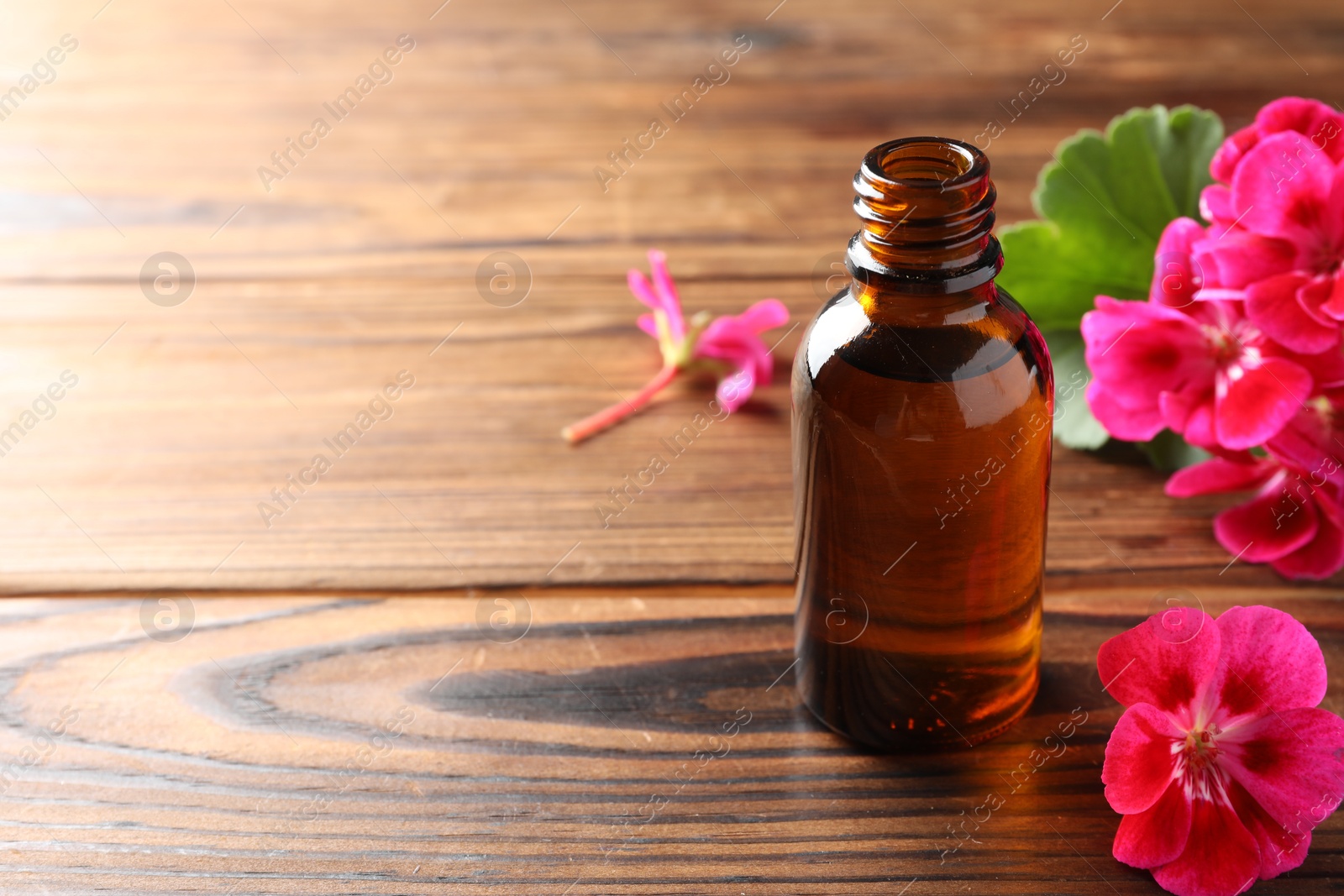 Photo of Geranium essential oil in bottle and beautiful flowers on wooden table, space for text