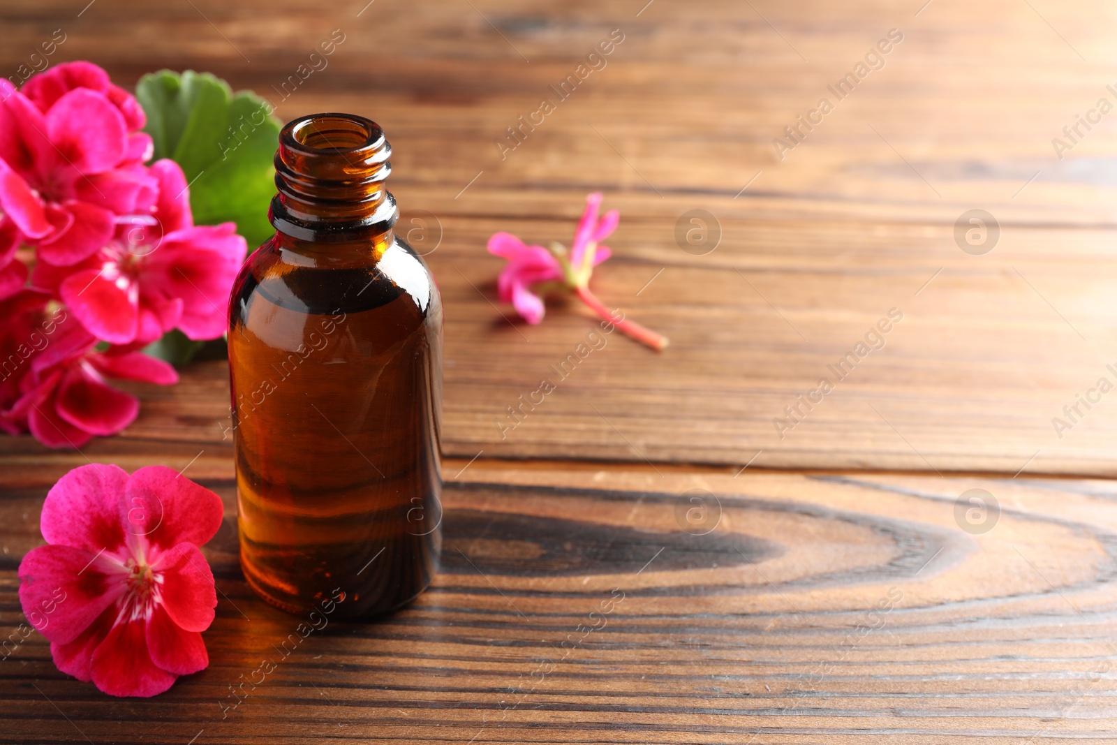 Photo of Geranium essential oil in bottle and beautiful flowers on wooden table, space for text