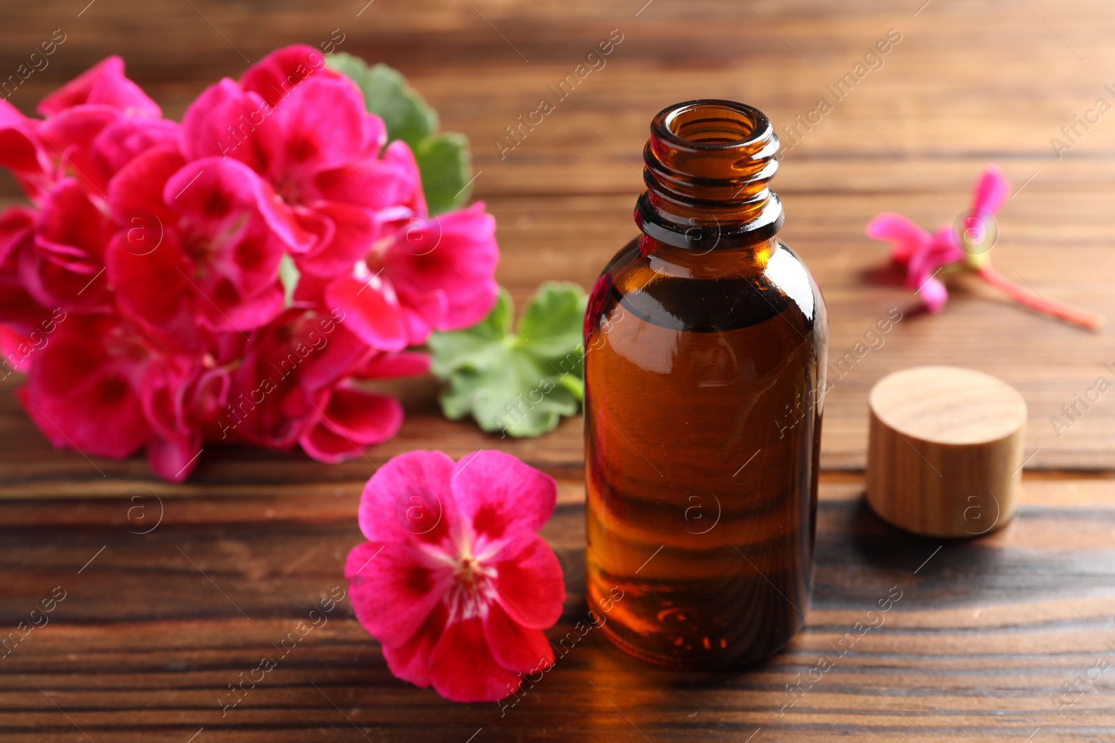 Photo of Geranium essential oil in bottle and beautiful flowers on wooden table