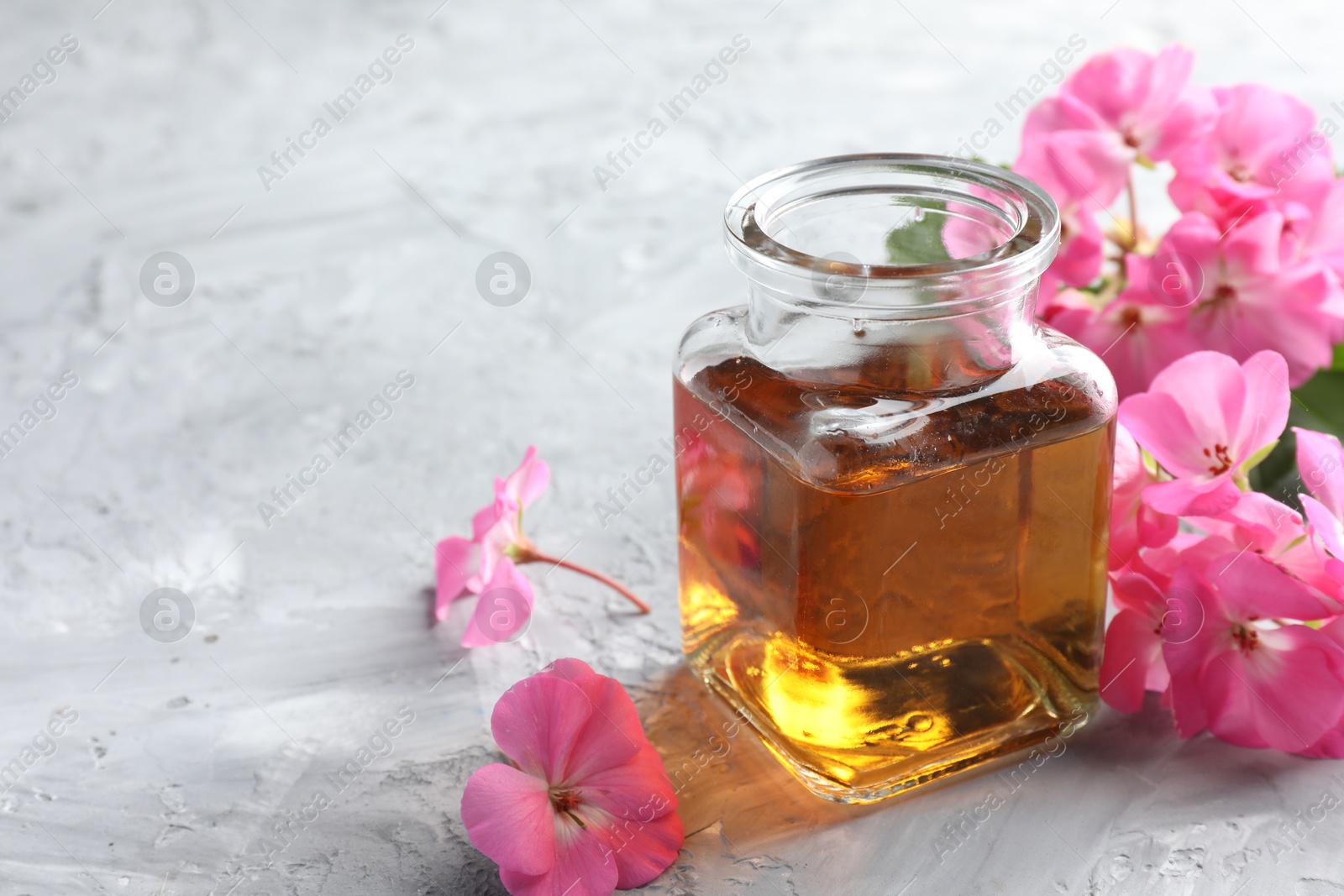 Photo of Bottle of geranium essential oil and beautiful flowers on light grey textured table, closeup. Space for text