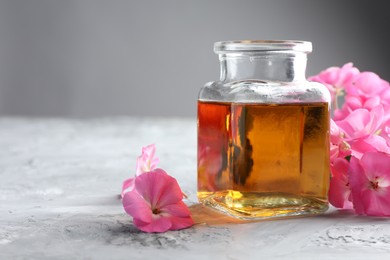 Photo of Bottle of geranium essential oil and beautiful flowers on light grey textured table, closeup. Space for text