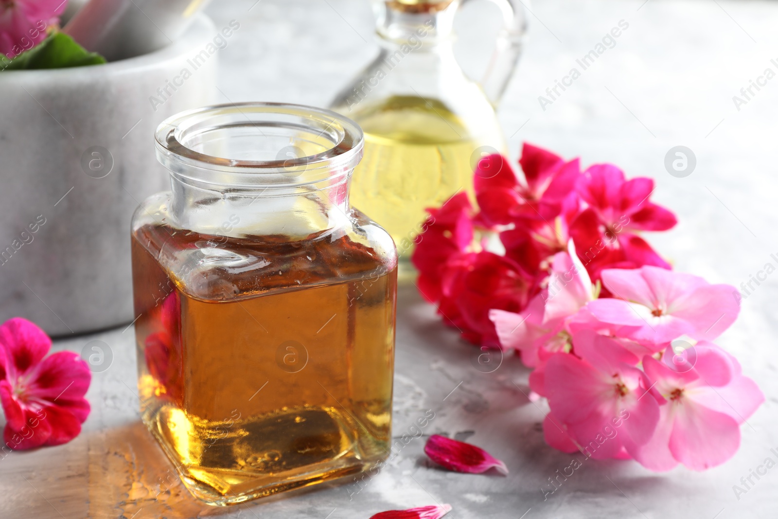 Photo of Geranium essential oil and beautiful flowers on light grey textured table, closeup