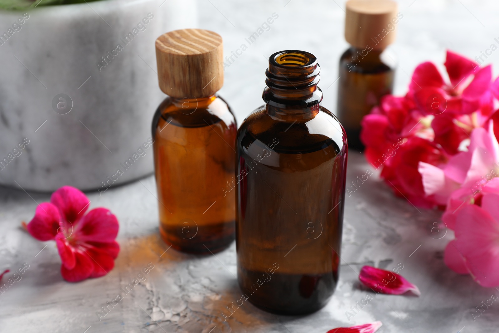 Photo of Bottles of geranium essential oil and beautiful flowers on light grey textured table, closeup