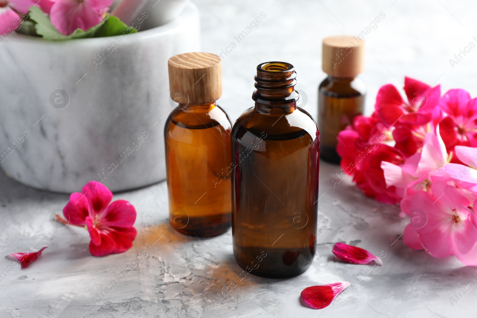 Photo of Bottles of geranium essential oil and beautiful flowers on light grey textured table, closeup