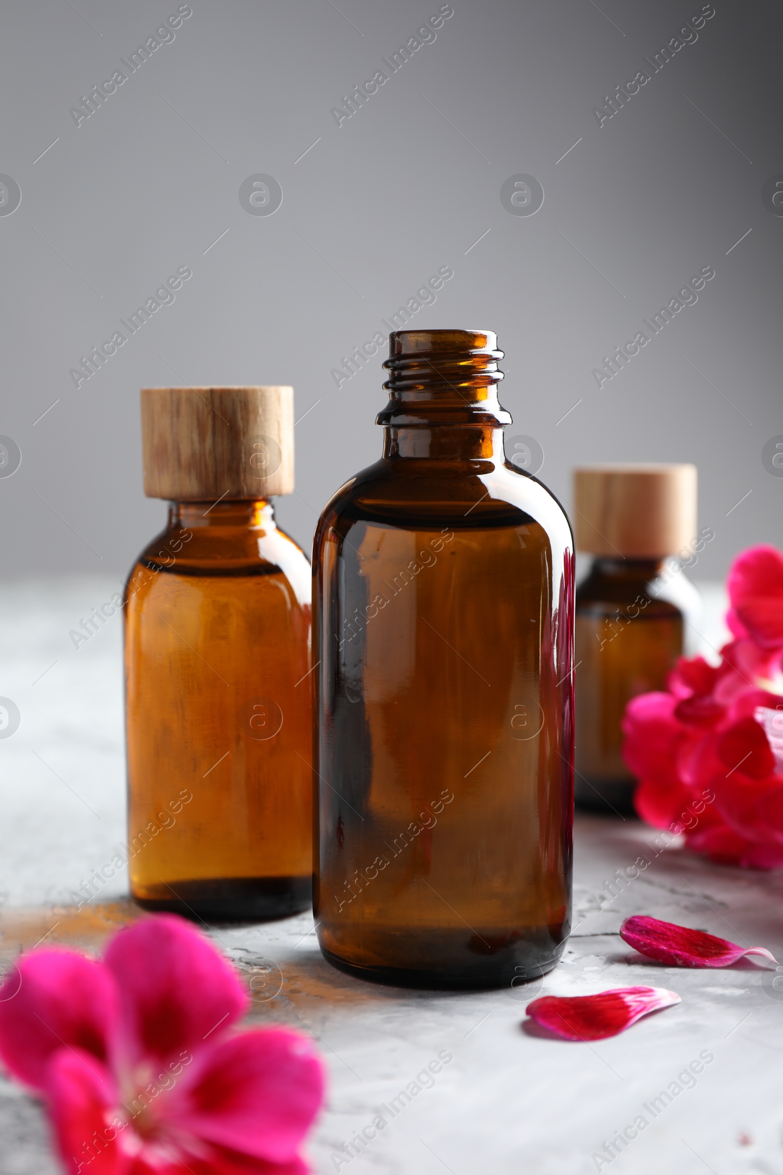 Photo of Bottles of geranium essential oil and beautiful flowers on light grey textured table, closeup