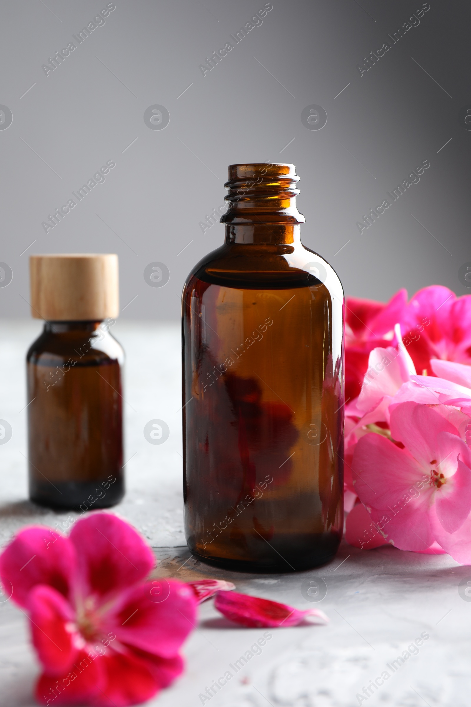 Photo of Bottles of geranium essential oil and beautiful flowers on light grey textured table, closeup